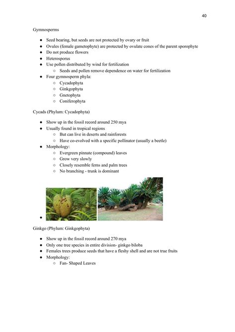 Image result for BioAPI Study Tips