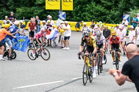 Image result for Gradient Cycles