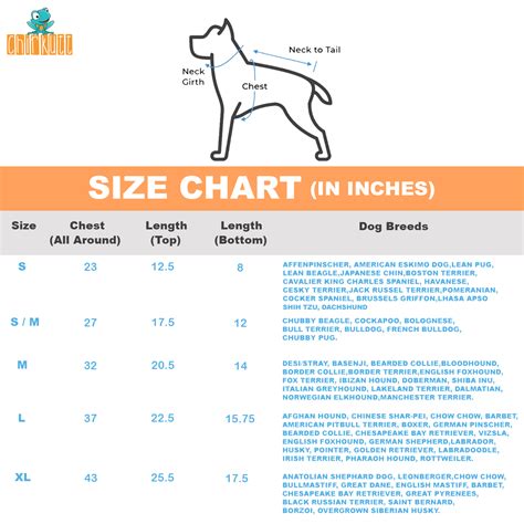 Indie Hooman And Dog Combo T-Shirt – Chirkutt