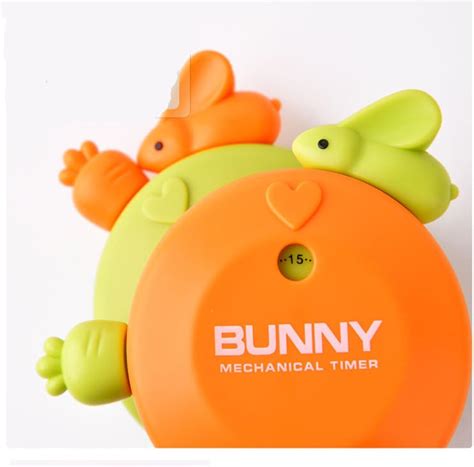 Buy Golandstar Cute Cartoon Bunny Timers 60 Minutes Mechanical Kitchen ...
