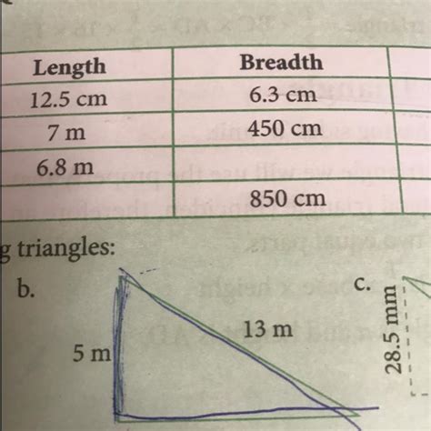 Find the area of traingle 5 cm 12 cm 13 cm - Brainly.in