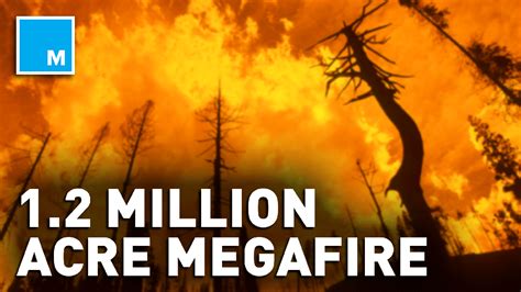 New South Wales Rural Fire Service Labels Australian Megafire As 'Out ...