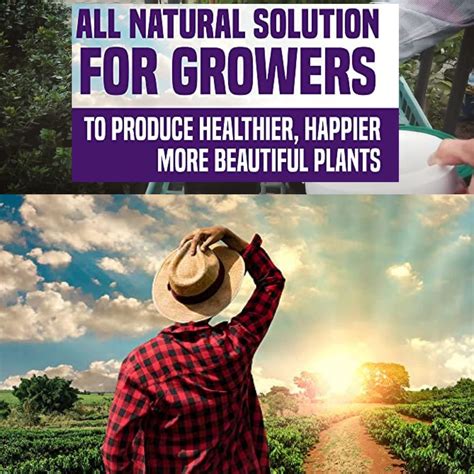 Buy Gaia Green Bundle 2-8-4 Power Bloom and 4-4-4 All Purpose Organic ...