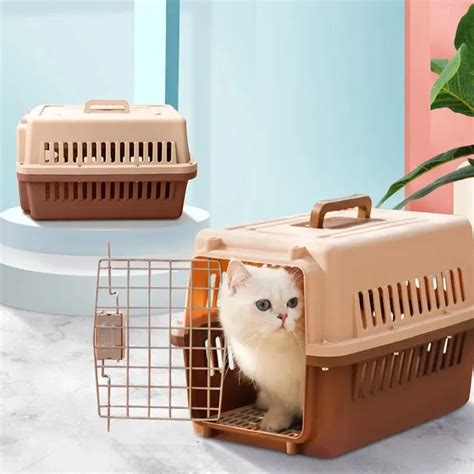 Vận chuyển thú cưng từ Bình Dương đi Hải Phòng bằng tàu hỏa  