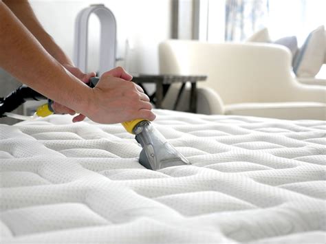 Is It Safe To Steam Clean Your Mattress at Patrick Nicole blog