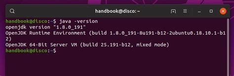 How to Use Java OpenJDK 8 的图像结果