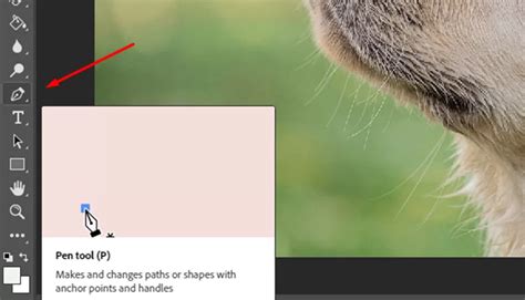 How to Draw an Arrow in Photoshop – Tech Lounge