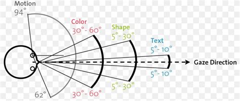Image result for Human Vision Field of View