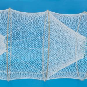 Image result for How to Set a Hoop Net for Fish