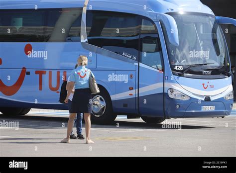 Image result for Tui Local Bus