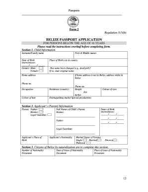 Belize Passport Application Form - Fill and Sign Printable Template Online
