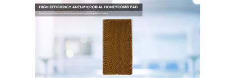 Buy Blue Star Premia 35 L Tower Air Cooler at Reliance Digital