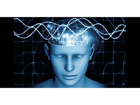 Human Memory Storage 的图像结果