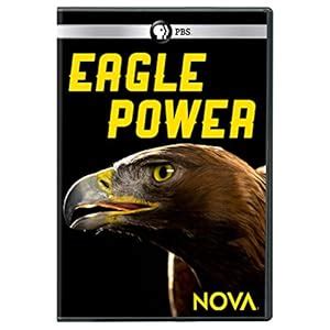 NOVA: Eagle Power: Amazon.in: Eric Meyers: Movies & TV Shows