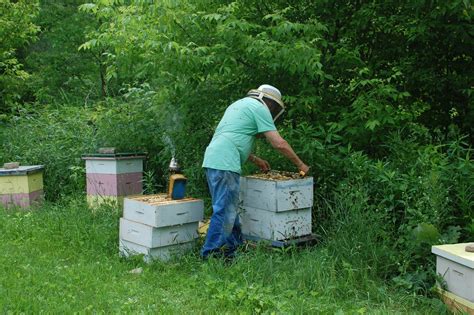 Avalanche Looms: blue rail