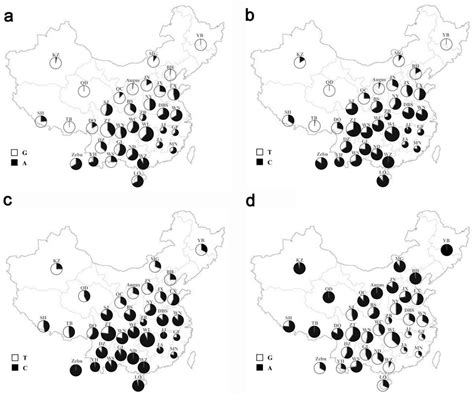 Four Novel SNPs of MYO1A Gene Associated with Heat-Tolerance in Chinese ...