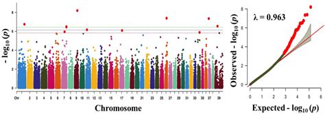 Identification of Candidate Genes and Pathways Associated with Obesity ...