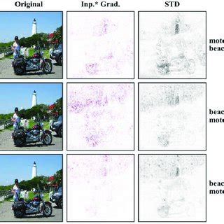 Image result for Visualization of High Level Features CNN