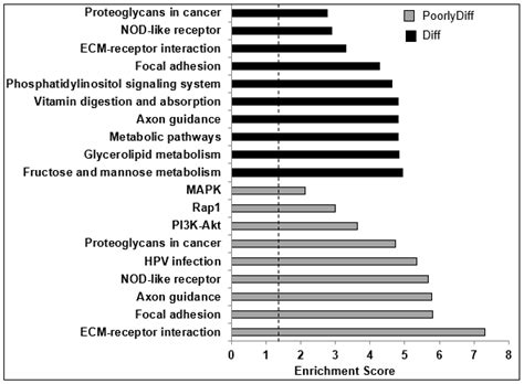 The Potent G-Quadruplex-Binding Compound QN-302 Downregulates S100P ...