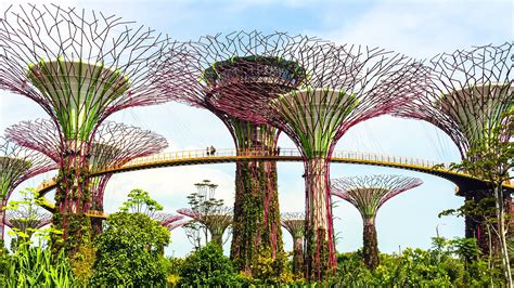Explore The Cheapest Way To Travel In Singapore Without Breaking The Bank
