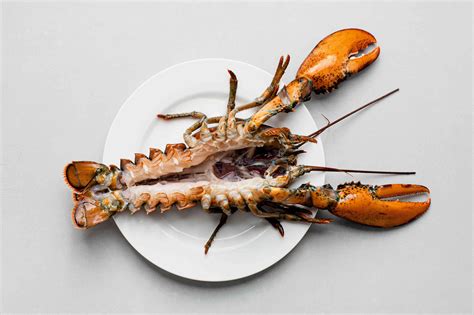 Stuffed Lobster Internal Temperature at Sandra Madrigal blog