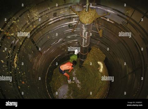 Wine Making Process 的图像结果