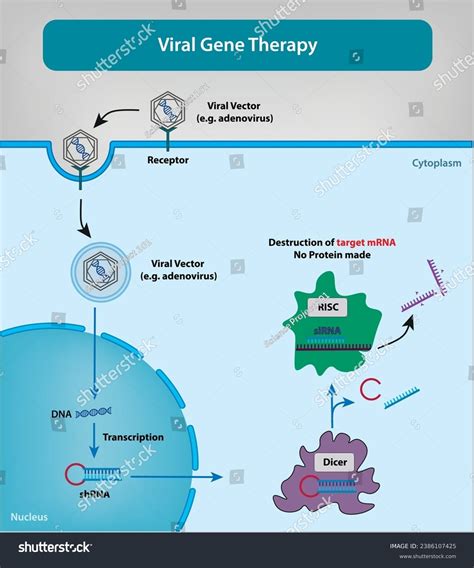 Gene Vector 的图像结果