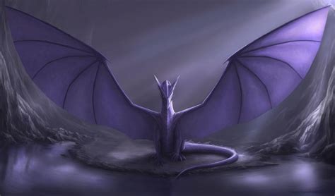 Black And Purple Dragons