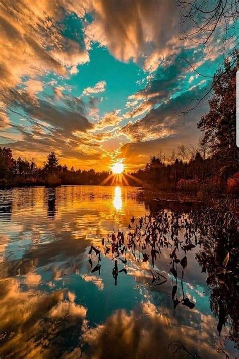 Wild beauties on Tumblr