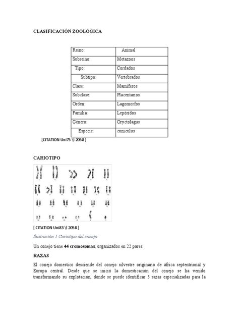 Image result for Research Code Sheet Example
