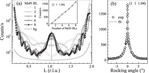 Image result for MNPT Process Connection