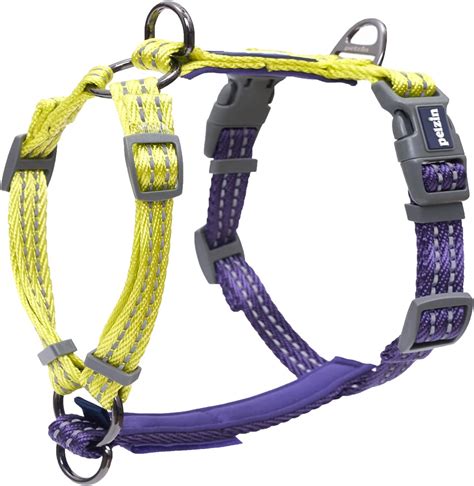 Pelzin Dual-Color 3-in-1 Dog Harness for Training or India | Ubuy