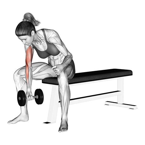 4 Best Incline Dumbbell Curl Alternatives (with Pictures!) - Inspire US