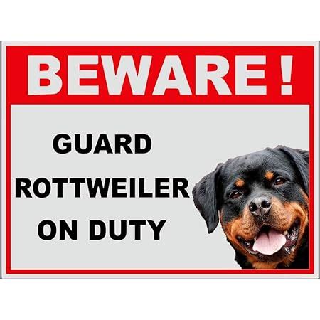 999Store office supplies sunboard beware of dogs sticker signage sign ...