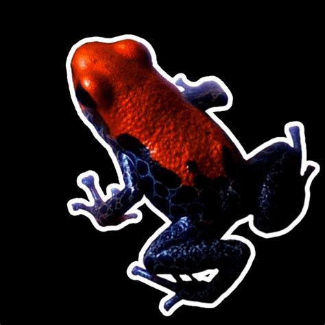 Image result for Minecraft Tutorials Tropical