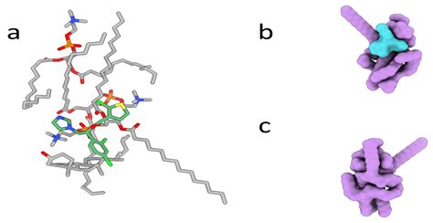 Tioconazole-Loaded Transethosomal Gel Using Box–Behnken Design for ...