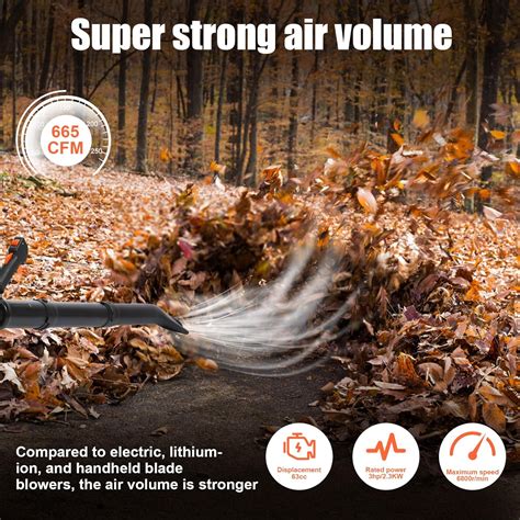 YESBAY Backpack Leaf Blower, 665CFM 2-Stroke Engine Gas India | Ubuy
