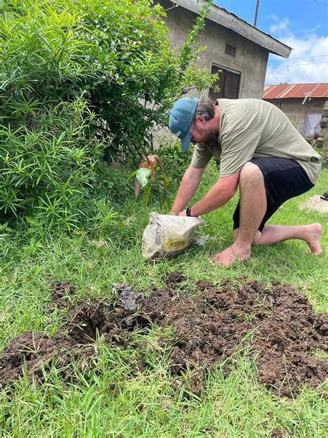 Image result for Tree-Planting Project