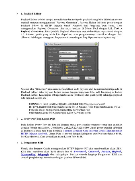 Image result for HTTP File Injector