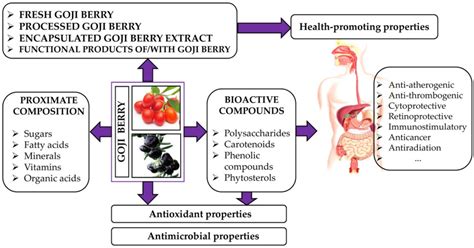 Health Benefits and Applications of Goji Berries in Functional Food ...