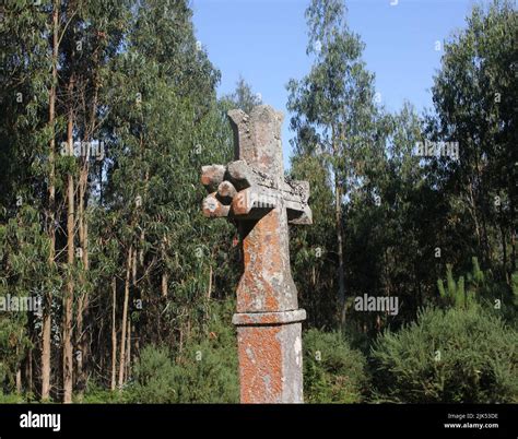 side view of a stone cross we came across in the woods Stock Photo - Alamy