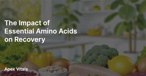 The Impact of Essential Amino Acids on Recovery – apexvitals
