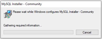 Image result for MySQL Installer 64-Bit