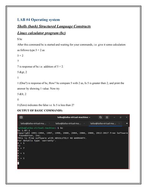 Nos. 1-10 Linux Shell Script Lab 2025 的图像结果