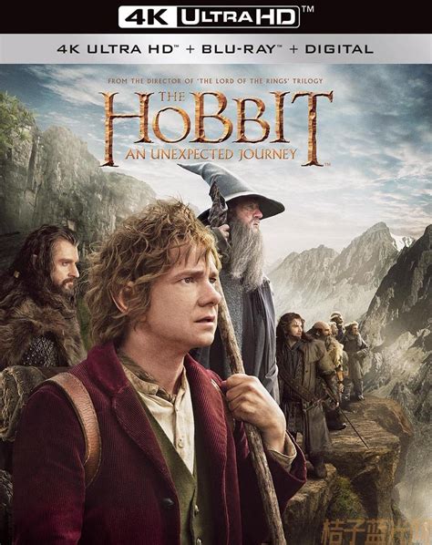 霍比特人1：意外之旅 The Hobbit: An Unexpected Journey (2012) - 桔子蓝光网 - 全球最全正版4K ...