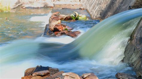 Polo Forest in Vijaynagar - Ticket Prices, Distance, Places to Visit ...