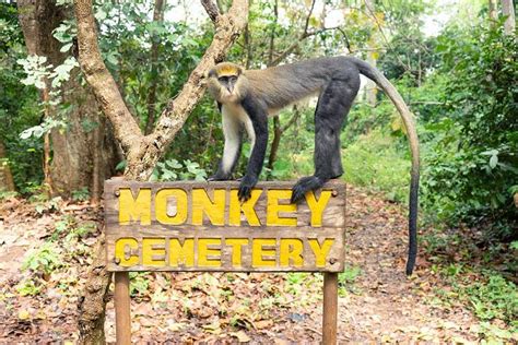 SKYWAY SAFARI & TOURS GHANA (2026) All You Need to Know BEFORE Going ...