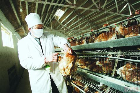 如何预防H7N9禽流感？_湖南站_新浪网