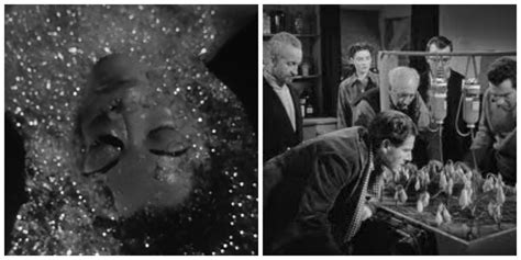 Alien Plants Horror 的图像结果