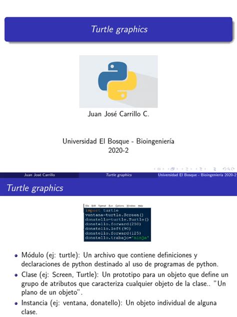 Image result for Turtle Graphics in Python Code PDF Download